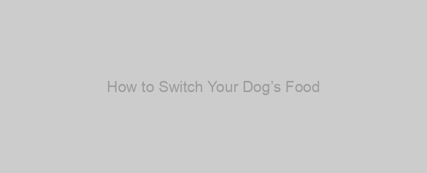 How to Switch Your Dog’s Food